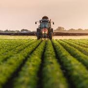 Download Unlocking Telephone Farming